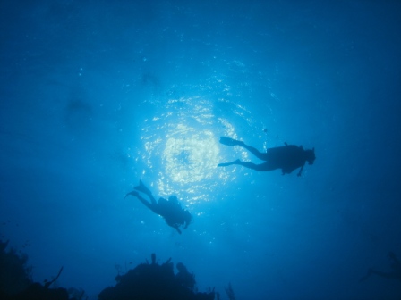 Freedom - Belize