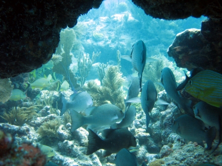 Key West - Florida