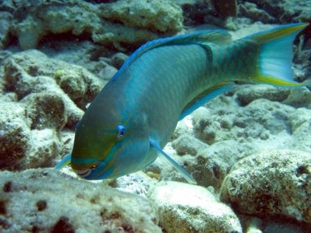 Key West - Florida
