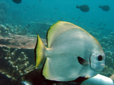 Malaysia